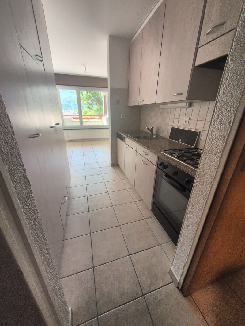 À louer ! Un spacieux appartement de 5 pièces 1/2, entouré de verdure, à l'entrée Ouest de Sion ! (4)