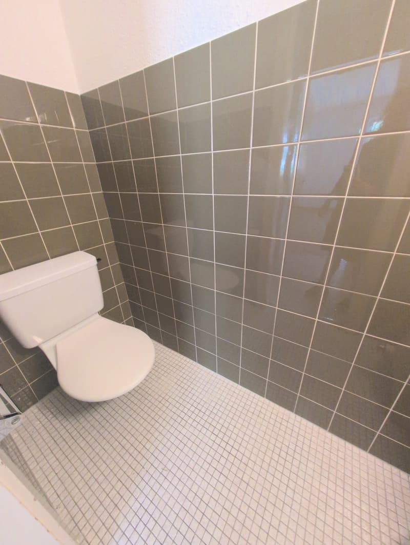 À louer ! Un spacieux appartement de 5 pièces 1/2, entouré de verdure, à l'entrée Ouest de Sion ! (13)