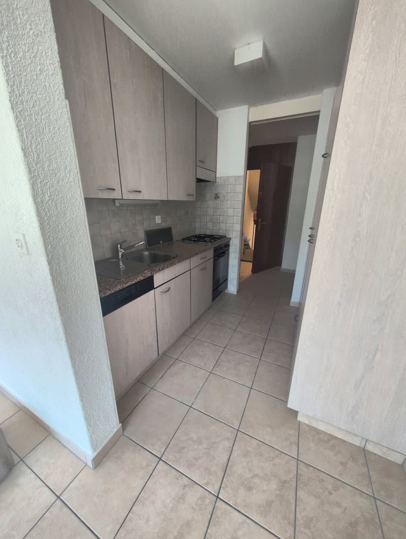 À louer ! Un spacieux appartement de 5 pièces 1/2, entouré de verdure, à l'entrée Ouest de Sion ! (3)