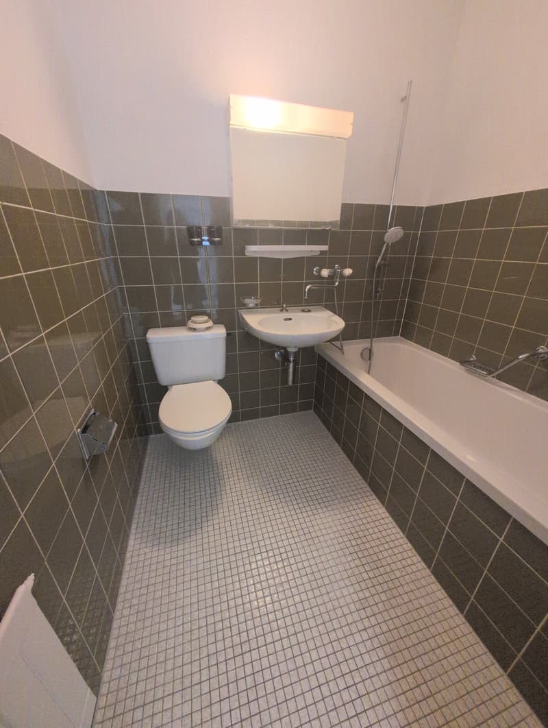 À louer ! Un spacieux appartement de 5 pièces 1/2, entouré de verdure, à l'entrée Ouest de Sion ! (14)