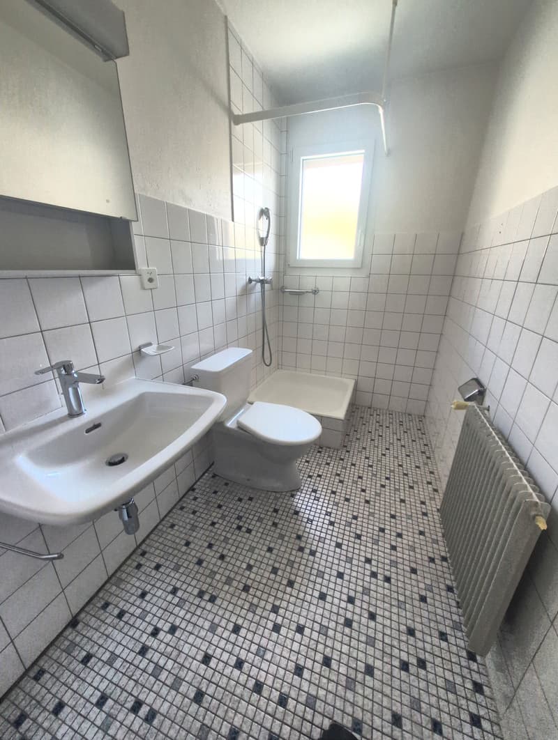 À louer, un charmant appartement de 3 pièces 1/2, à l'entrée Ouest de Sion ! (13)