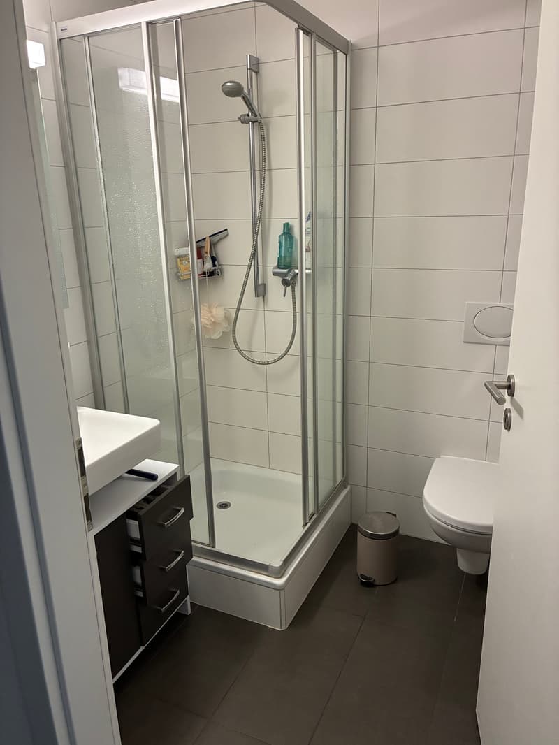 À louer, un joli appartement de 3 pièces 1/2, avec balcon, en plein coeur de Sierre ! (10)