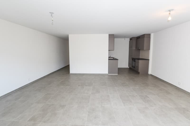 Bel appartement de 2 pièces 1/2, à louer au coeur de Monthey ! (1)