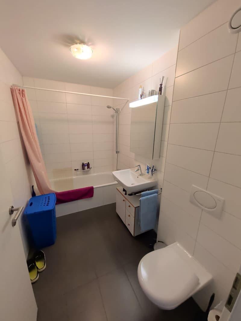 À louer, un bel appartement de 2 pièces 1/2, en attique, avec balcon, en plein coeur de Sierre ! (11)