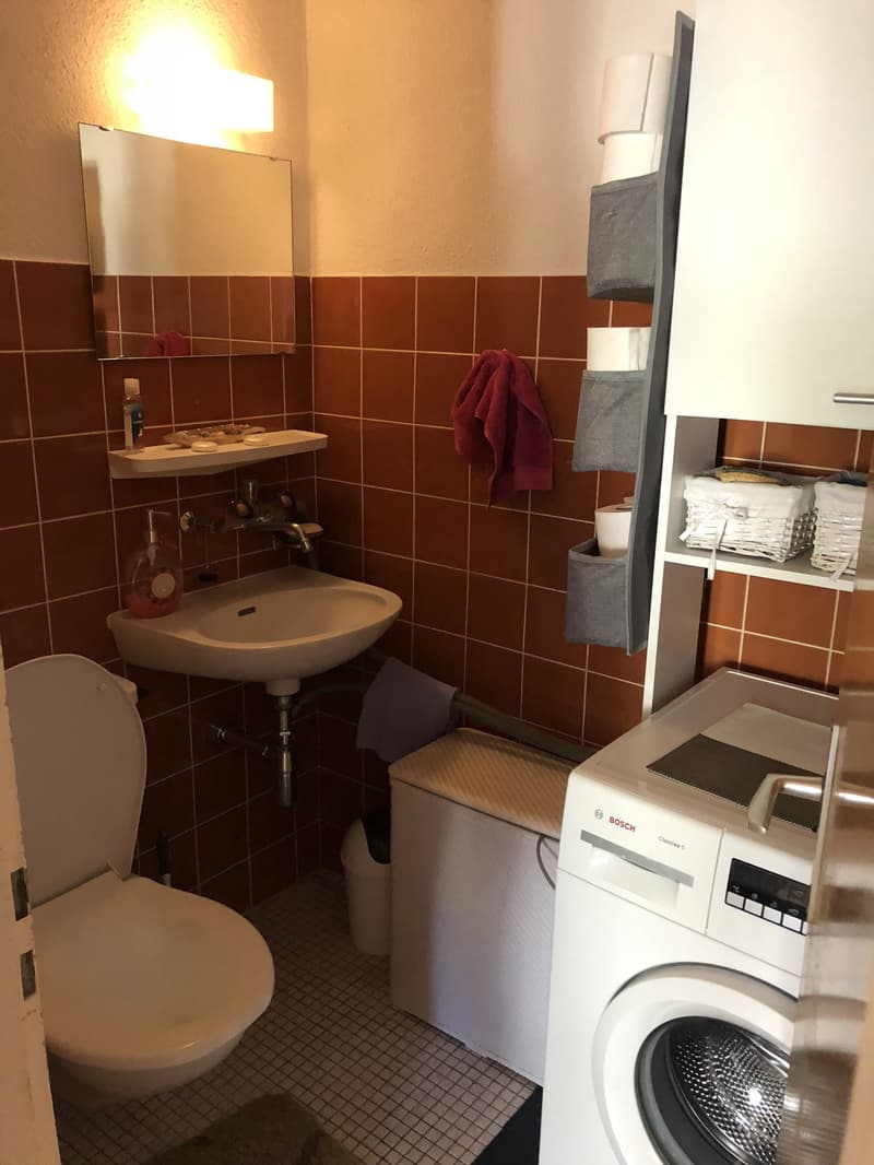 À louer ! Un charmant appartement de 4 pièces 1/2, à l'entrée Ouest de Sion ! (12)