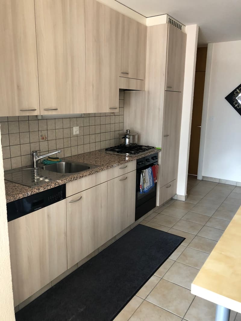 À louer ! Un charmant appartement de 4 pièces 1/2, à l'entrée Ouest de Sion ! (3)
