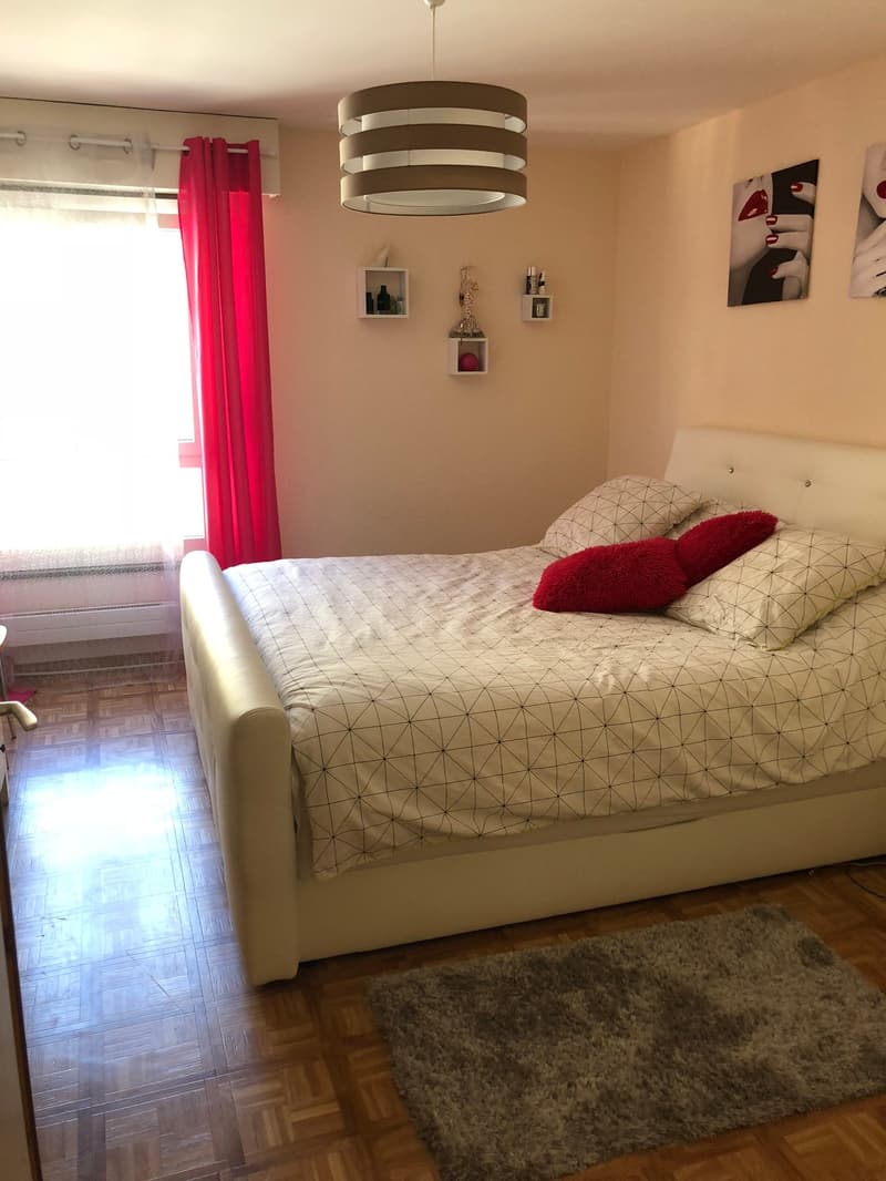 À louer ! Un charmant appartement de 4 pièces 1/2, à l'entrée Ouest de Sion ! (8)