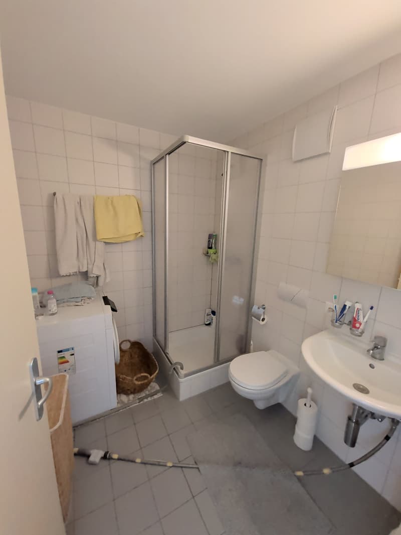 À louer, un bel appartement de 4 pièces 1/2, à Sierre ! (14)