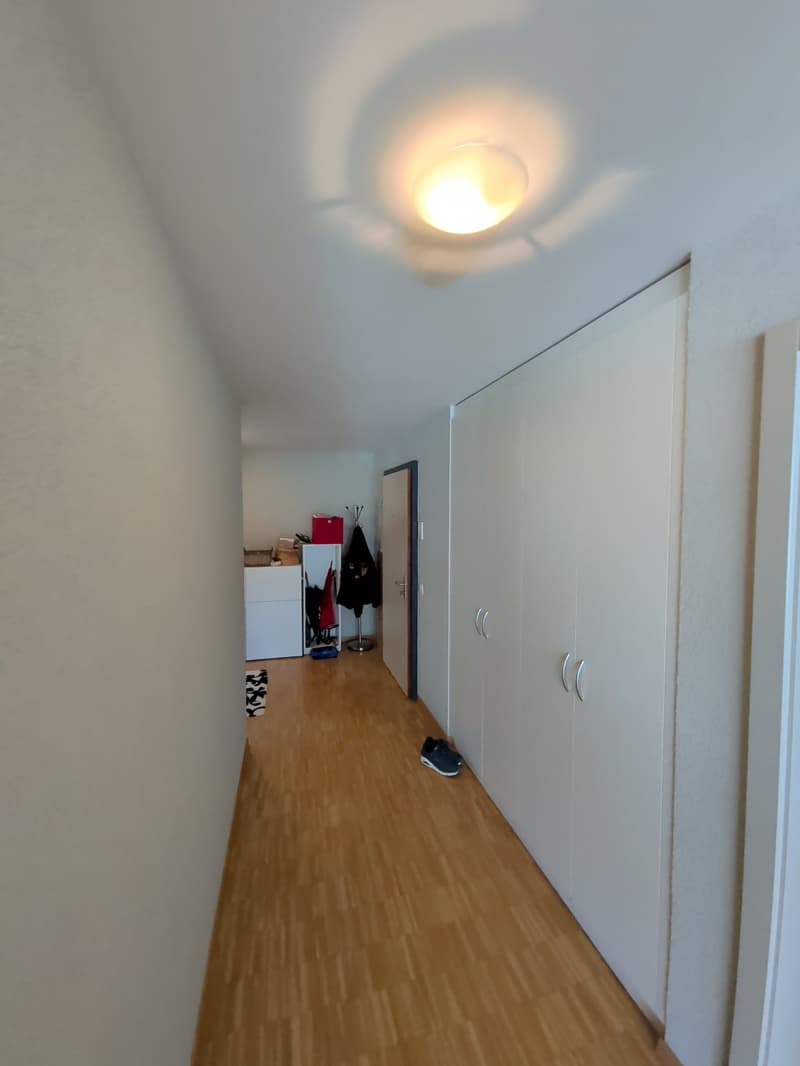 À louer, un bel appartement de 4 pièces 1/2, à Sierre ! (9)