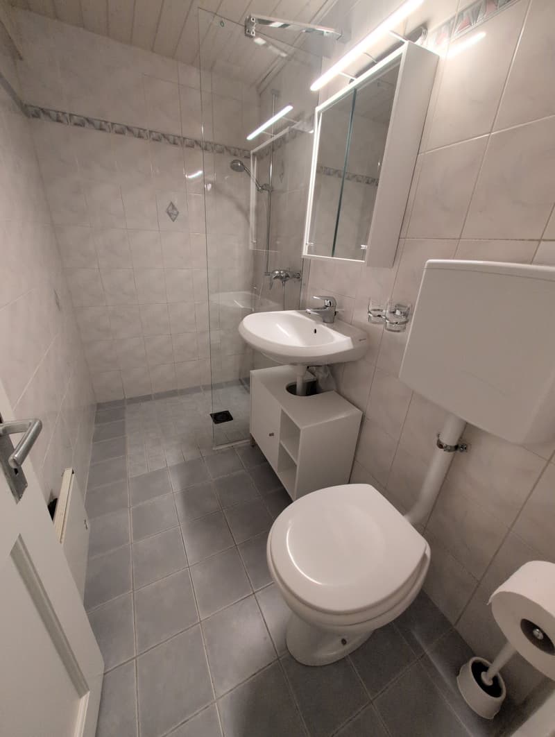 À louer, un bel appartement de 2 pièces 1/2, en plein coeur du Bourg à Martigny ! (14)