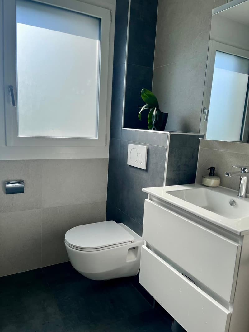 Perle rare ! Magnifique 4.5 pces, avec terrasse et pelouse privative, à louer à Martigny ! (8)