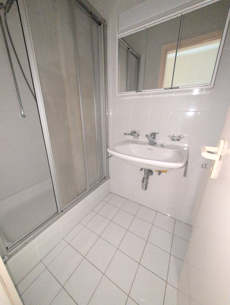 Petit bijou ! À louer, bel appartement de 4.5 pièces avec balcons, EN COURS DE RENOVATION, à Sion ! (23)