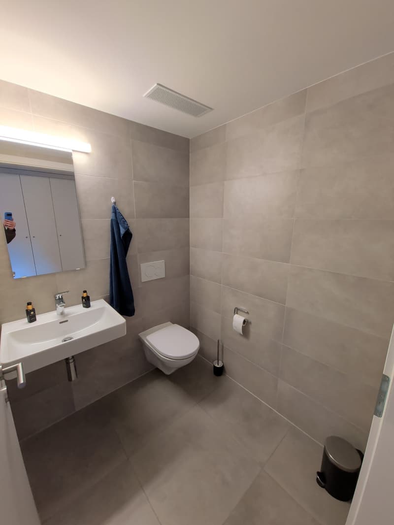Bien d'exception ! Splendide appartement de 2.5 pièces, en attique, à louer à Sion ! (15)