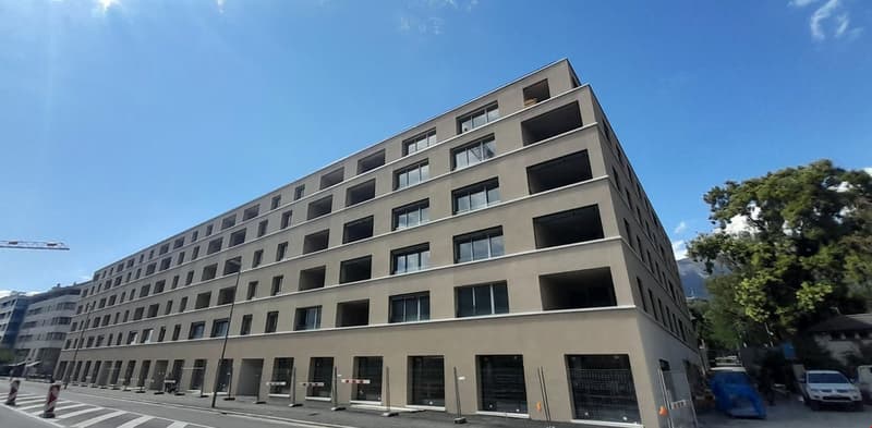 Bien d'exception ! Splendide appartement de 2.5 pièces, en attique, à louer à Sion ! (2)