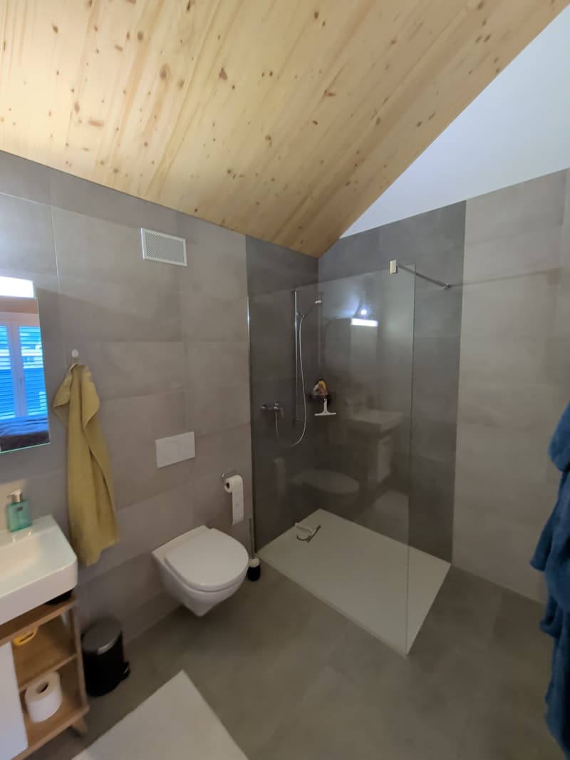 Bien d'exception ! Splendide appartement de 2.5 pièces, en attique, à louer à Sion ! (13)
