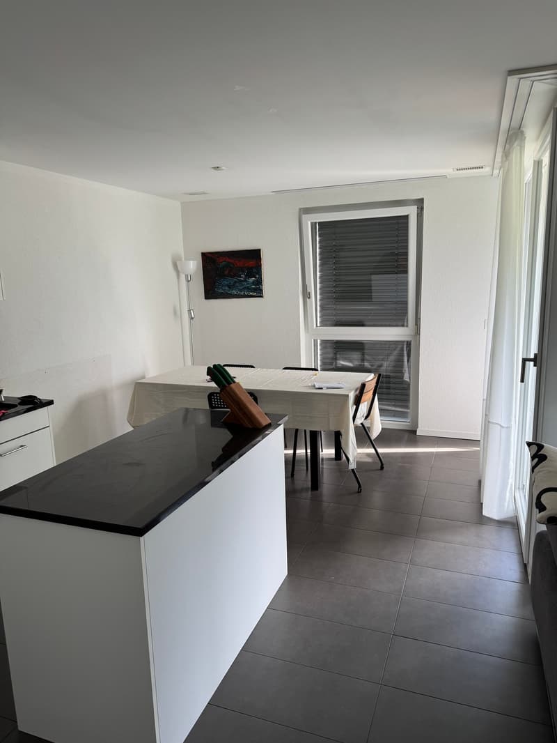 À louer, un bel appartement de 2 pièces 1/2, en plein coeur de Sierre ! (3)