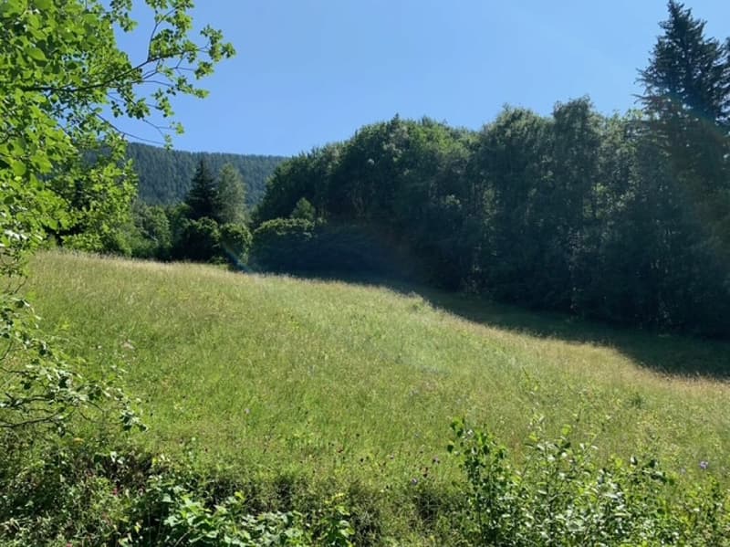 Terreno edificabile Mayen de l'Arbarey - Saxon (2)
