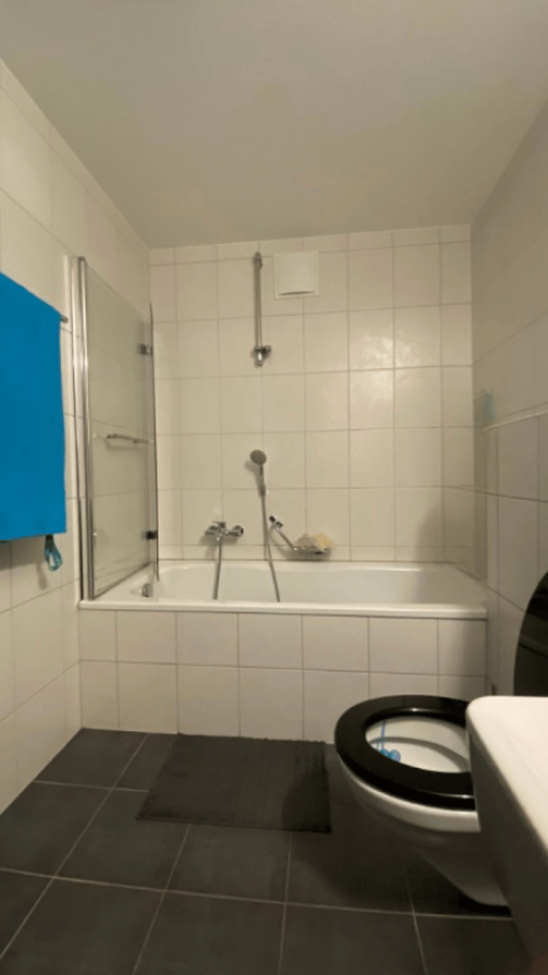 Charming 4.5-room apartment (9)