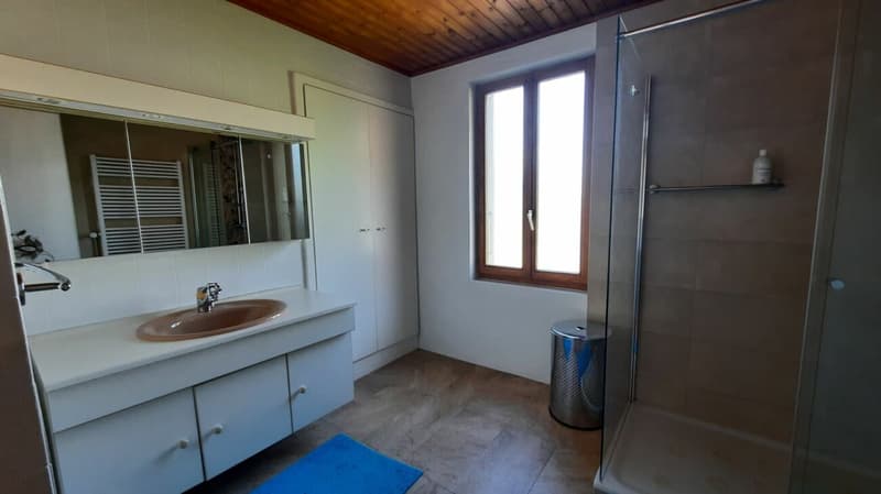 Casa luminosa di 4.5 locali con grande granaio annesso (8)