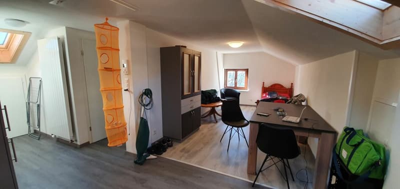 Geräumige 2.5-Zimmer-Wohnung, möbliert, renoviert und hell im Zentrum des Dorfes (2)