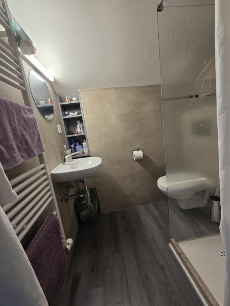 Geräumige 2.5-Zimmer-Wohnung, möbliert, renoviert und hell im Zentrum des Dorfes (5)