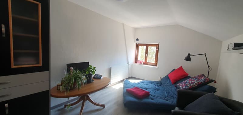 Geräumige 2.5-Zimmer-Wohnung, möbliert, renoviert und hell im Zentrum des Dorfes (3)
