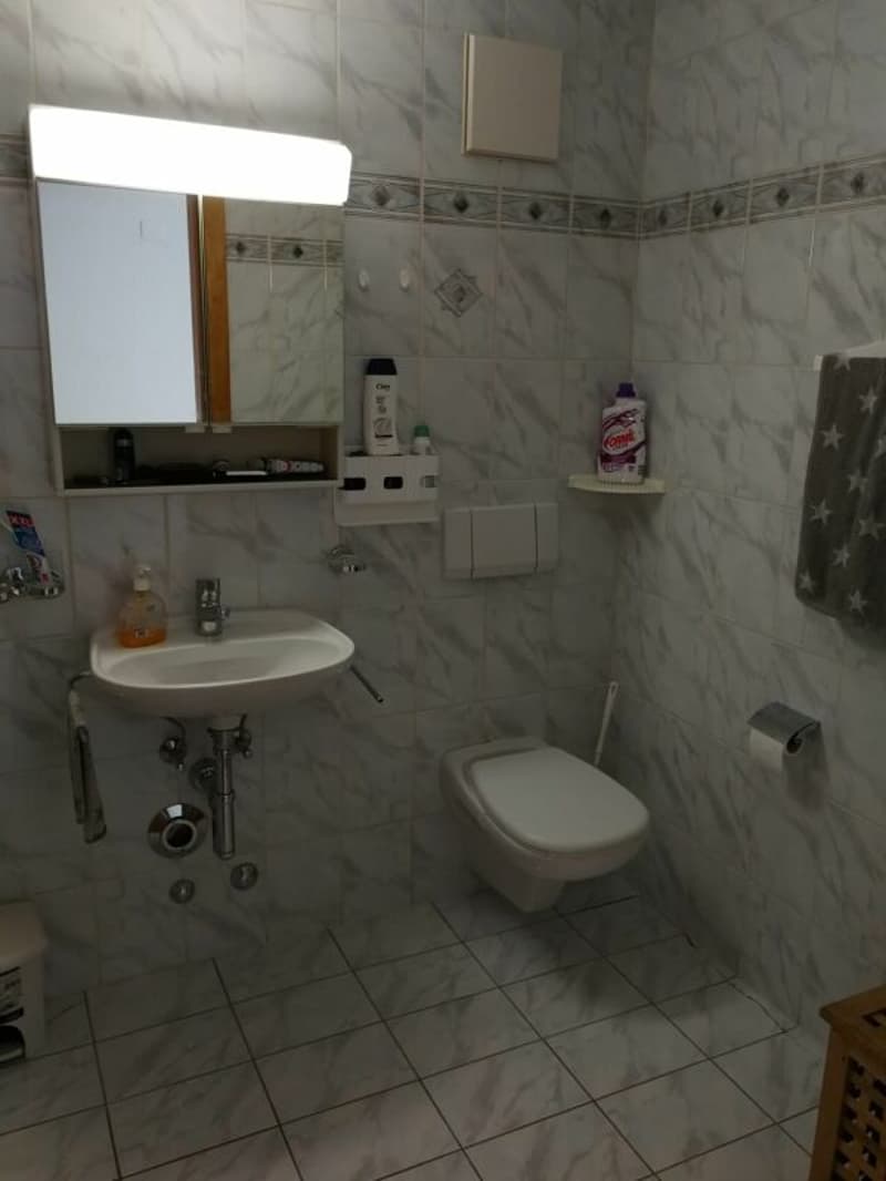 Spacious 2.5-room apartment in the village center with parking space (10)