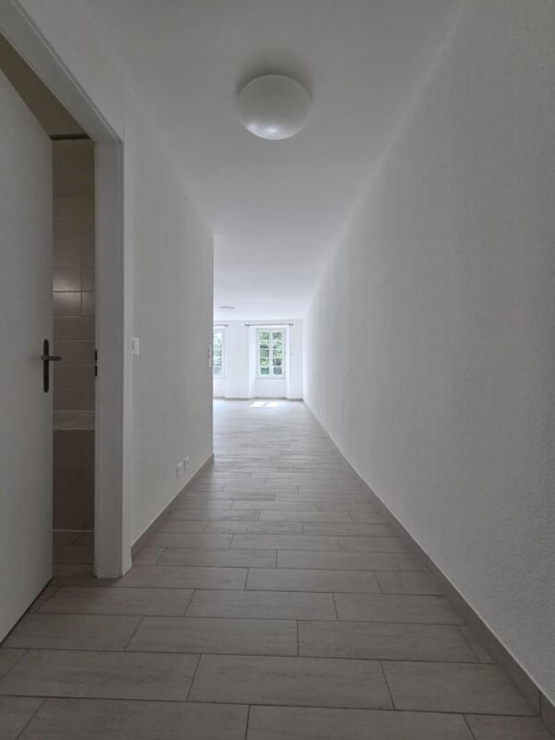 Renovierte 2.5-Zimmer-Wohnung im Zentrum von Martigny (6)