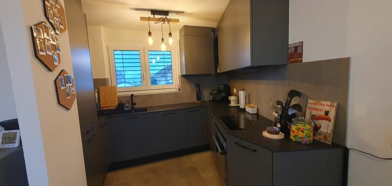 NEUF - spacieux 3.5 pces lumineux avec places de parc (4)