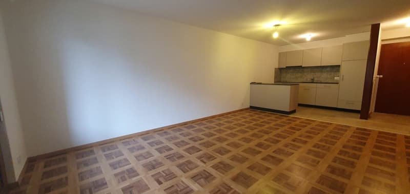 RENOVE - spacieux 3.5 pces avec place de parc dans un quartier tranquille (5)