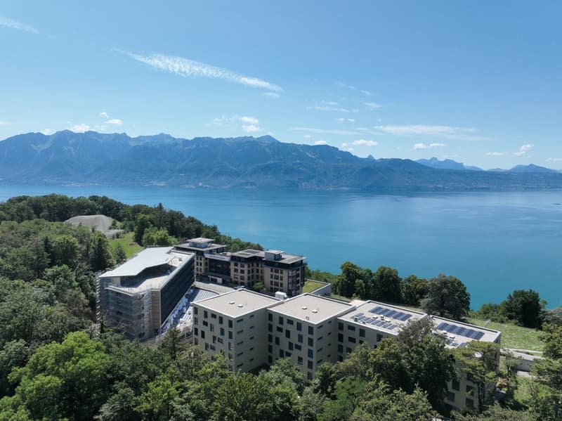 Magnifique attique de 5.5 pièces avec vue exceptionnelle sur le lac Léman (16)
