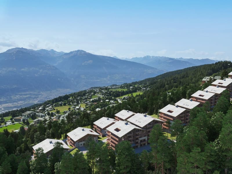 Cluster of luxury chalets on mountain slope with sweeping mountain views