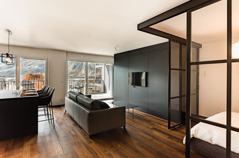 modern apartment with wooden floor, large windows, balcony, couch, dining table, TV, kitchen area