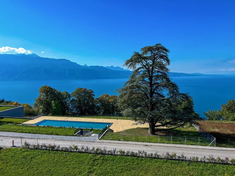 swimming pool, large tree, green grass, mountains, lake, clear blue sky