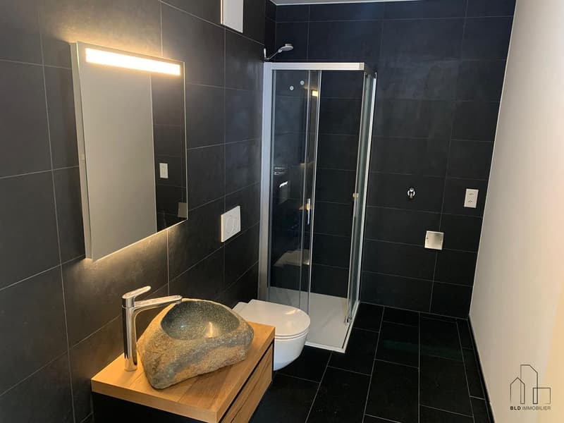 modern bathroom with black tiles, glass shower, stone sink, white toilet, wooden cabinet