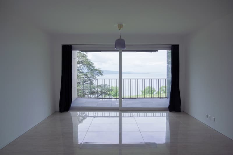 Magnifique 3 1/2 pièces à Puidoux-Chexbres avec vue sur Lac Léman (8)