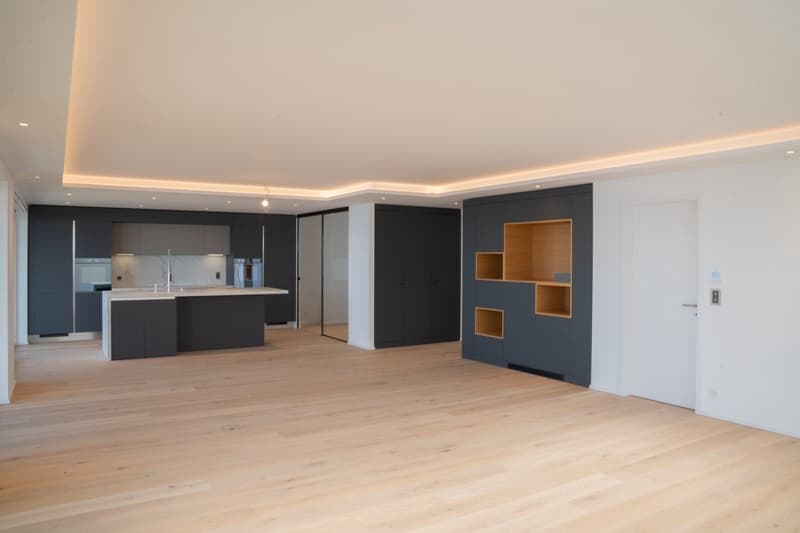 Magnifique attique de 5.5 pièces à vendre avec vue exceptionnelle sur le lac Léman (12)