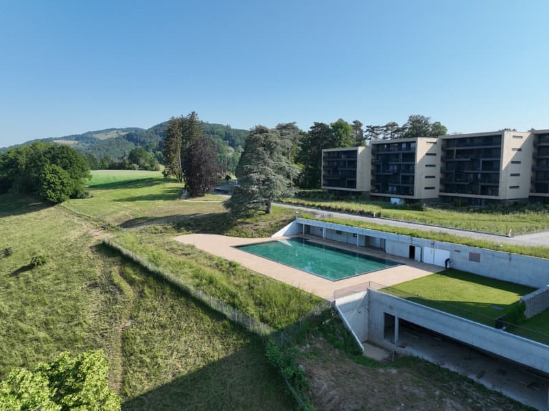 Magnifique attique de 5.5 pièces à vendre avec vue exceptionnelle sur le lac Léman (19)