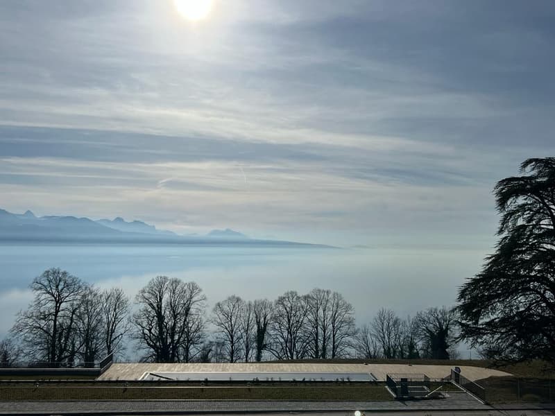 Appartement de standing non meublé à louer - Vue sur le lac - Puidoux-Chexbres (1)