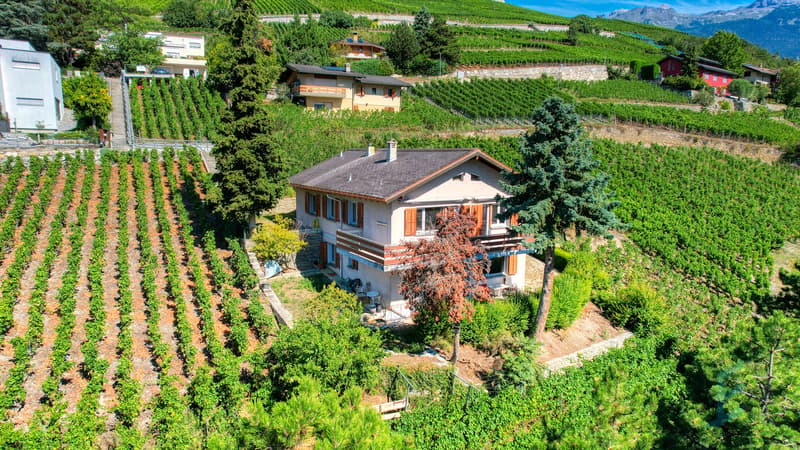 Villa Sierre - Vue drône / Villa Sierre - Drohnenblick / Villa Sierre - Drone view