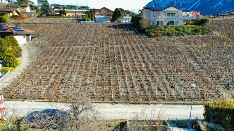 Terrain à bâtir Miège / Baugrundstück Miège / Building plot Miège
