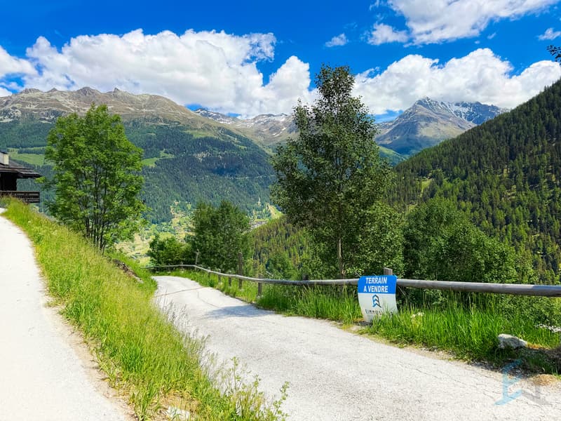 Terrain Grimentz - Route d'accès / Grundstück Grimentz - Zufahrtsstraße / Land Grimentz - Access road