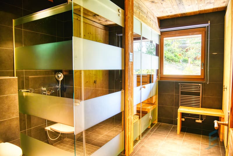 Chalet Zinal - Salle de douche et Sauna / Chalet Zinal - Duschraum und Sauna / Zinal Chalet - Shower Room and Sauna