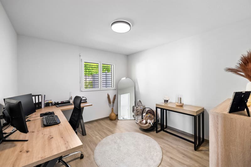 Saxon - Magnificent contemporary 5.5-room house (6)