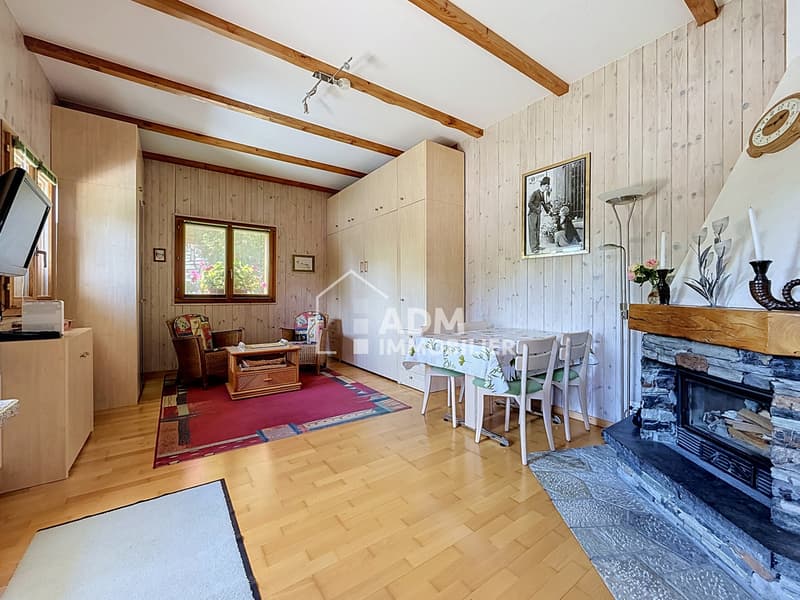 Ovronnaz, charmant studio avec terrasse privative de 41 m2 (4)