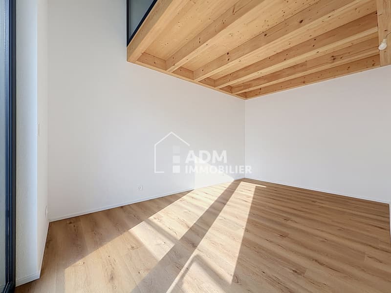 Superbe duplex de 3 pièces (4)
