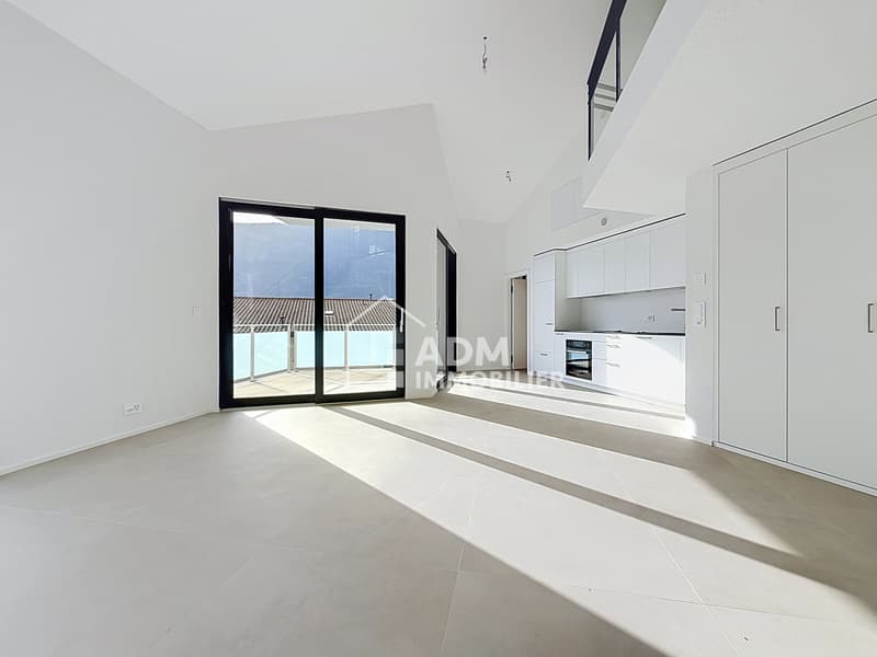 Superbe duplex de 3 pièces (2)