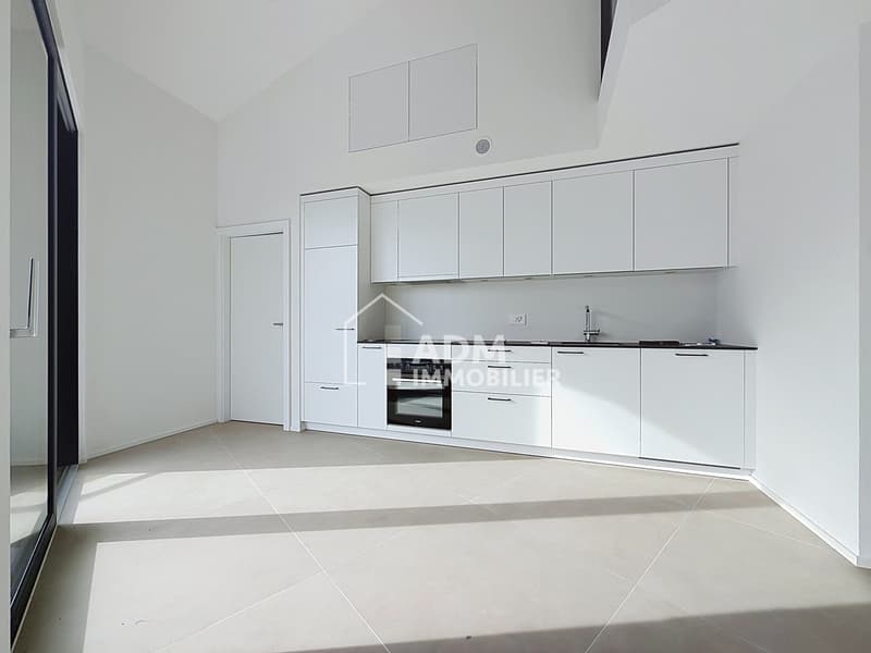 Superbe duplex de 3 pièces (3)