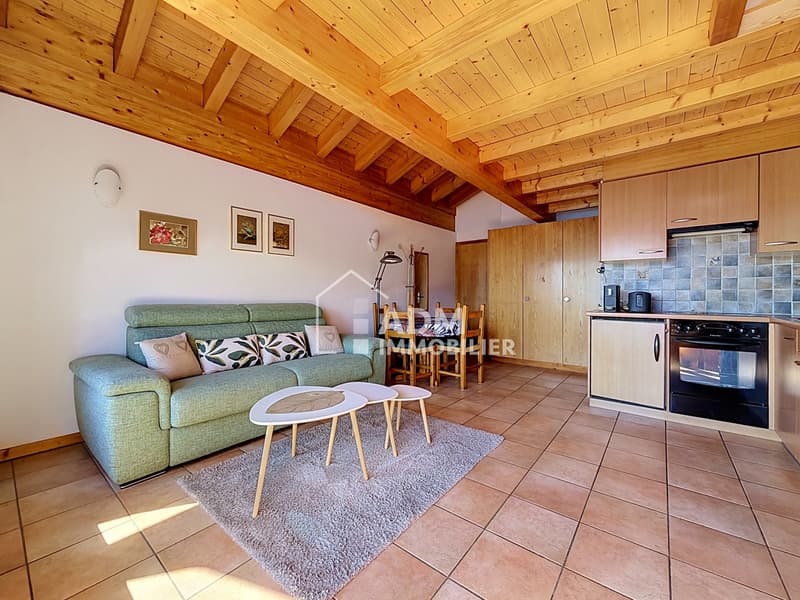 Appartement de 2 pièces avec mezzanine aux pieds des pistes (3)