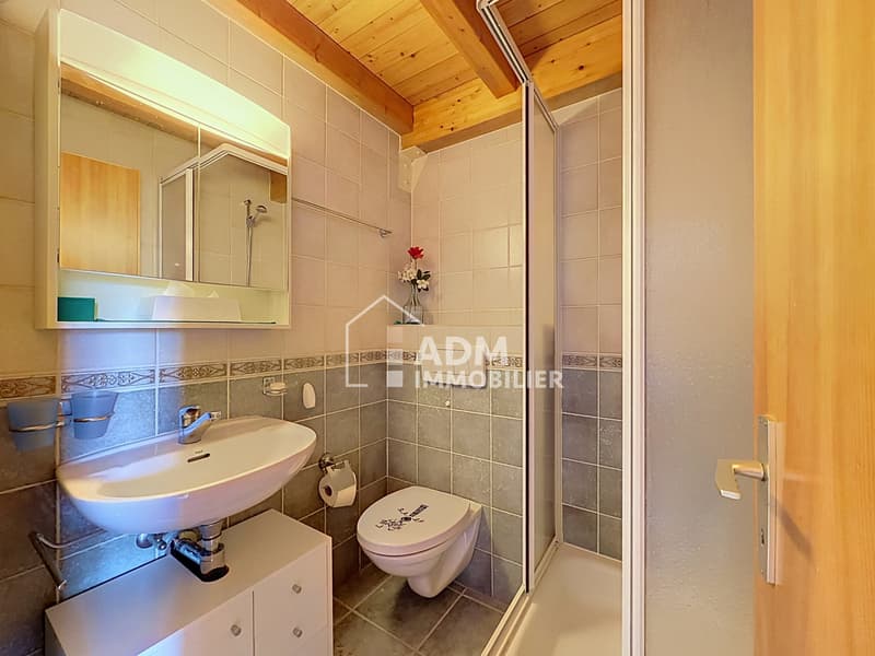 Appartement de 2 pièces avec mezzanine aux pieds des pistes (13)